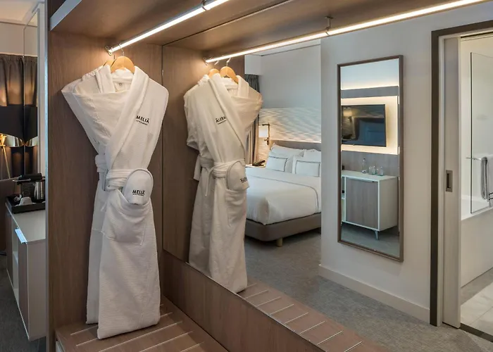 Melia Frankfurt Hotel 4*