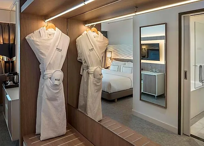 Melia Frankfurt Hotel 4*